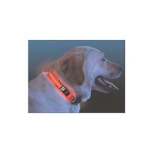  NEW Nite Dawg   LED Dog Collar   MEDIUM, 13 18   RED (Pet 