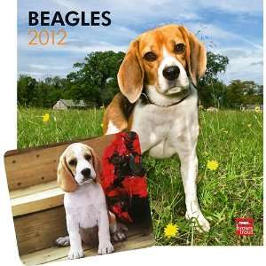  Beagle 2012 Calendar & Mouse Pad Gift Set