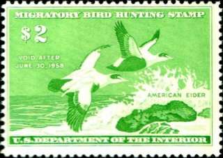 RW24 Federal Waterfowl Print w/ MINT Stamp MOGNH   VF  