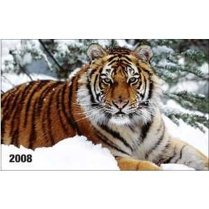  Tigers 2008 Wallet Calendar