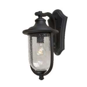  Artcraft Lighting AC8041BK