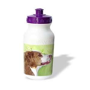  Dogs Brittany   Brittany Portrait   Water Bottles Sports 