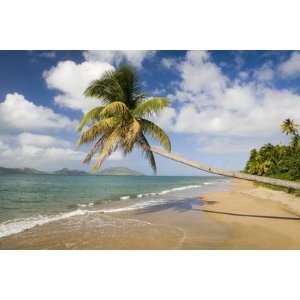  Coconut Grove Beach at Cades Bay, with St. Kitts on 
