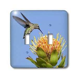   Protea flower.Irvine,California   Light Switch Covers   double toggle