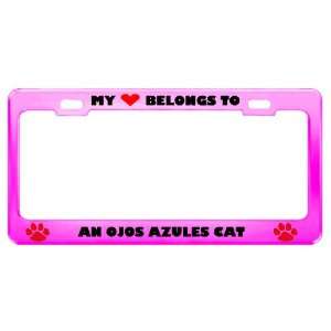  An Ojos Azules Cat Pet Pink Metal License Plate Frame Tag 