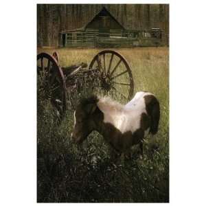   Pony Giclee Poster Print by Steve Hunziker, 38x56