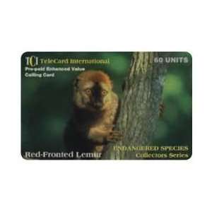    60u Red Fronted Lemur Endangered Animal Species Collectors Series