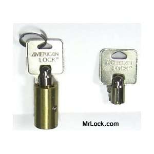 Cut Keys,Tubular w/Lock Purchase