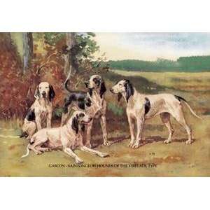  Vintage Art Gascon Saintongeois Hounds of the Virelade Type 