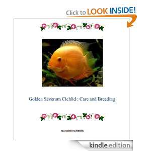 Golden Severum Cichlid  Care and Breeding Kasidit Wannurak  