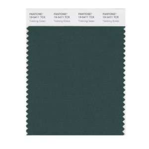   SMART 19 5411X Color Swatch Card, Trekking Green