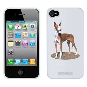  Ibizan Hound on AT&T iPhone 4 Case by Coveroo  Players 