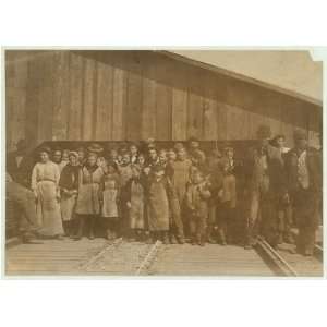   Little Nettie,Alabama Canning Co.,Bayou La Batre, AL