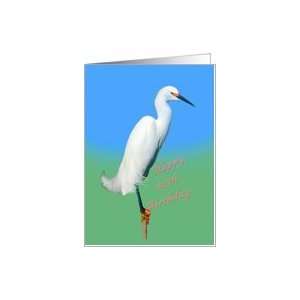    80th Birthday, Snowy Egret Bird, Religious Card Toys & Games