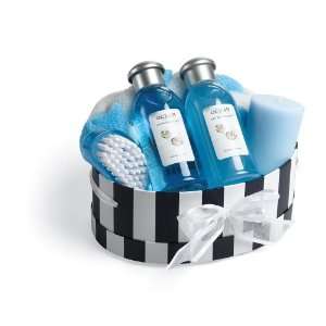  Daily Touch Ocean Therapy Gift Basket, 1 Gift Basket 