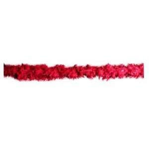    Beistle   60300 R   Fancy Feather Boa   Pack of 6