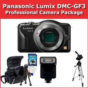 DMC GF3 Digital Camera (Body Only), Shoe Mount Flash, 8GB Class 10 