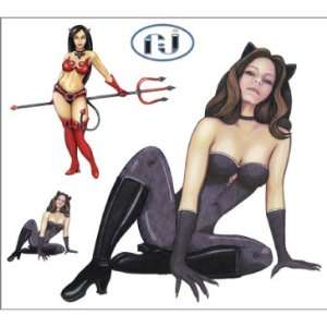  Dan Morris   Catwoman Pinup Girl   Sticker / Decal 