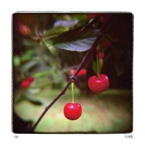  Jacquies Cherries by Rebecca Tolk, 20x20