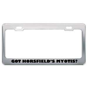 Got HorsfieldS Myotis? Animals Pets Metal License Plate Frame Holder 