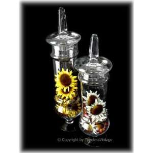   Pair Tall 18 & 16 Hand Blown Glass Apothecary Jars