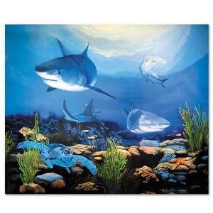  Shark Ocean Canvas Art