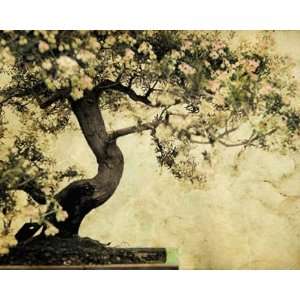  Your Moment Of Zen Wall Mural