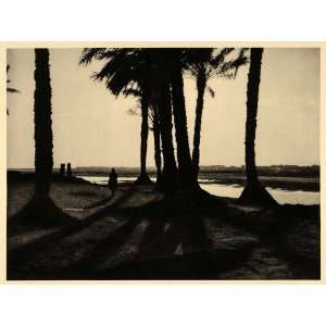  1929 Egypt Nile River Sunset Shade Palm Trees Et Till 