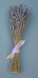 Bunch of French dried lavender from the fields of Provence France.