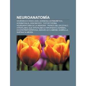   Testosterona, Neuroanatomía de la memoria (Spanish Edition
