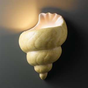   Design Group CER 3700 CRK Conch Shell Wall Sconce