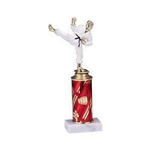  Karate Trophies   Traditional Trophy 10 Sports 
