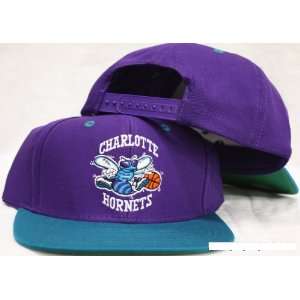 Charlotte Hornets Snapback Purple / Teal Two Tone Adjustable Plastic 