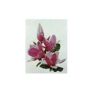   Magnolias, Cross Stitch from Silver Lining Arts, Crafts & Sewing