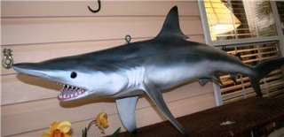 XL 72 inch Blacktip Shark FISH MOUNT  Replica Fierce  