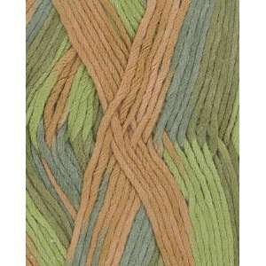 Berroco Comfort Colors Yarn 9830 Antipasto Arts, Crafts 