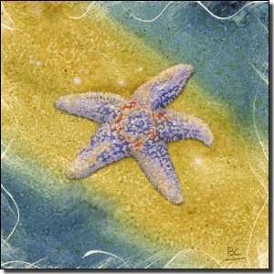 Jefferson Starfish Rocks   Crane Beach by Brian Cody   Ceramic Accent 