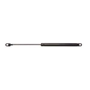  Strong Arm 4442 Tailgate Lift Support Automotive