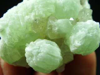 Pretty Bud Shape Water Green PREHNITE & Quartz Crystal  