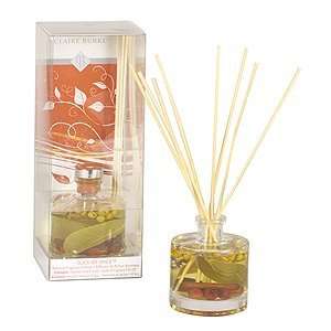  Claire Burke Slice of Spice Botanical Diffuser Health 