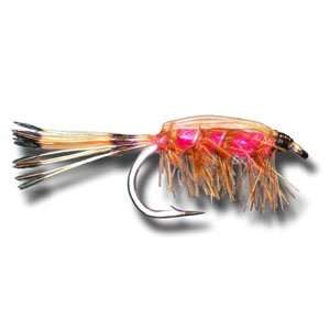 Tied Down Caddis   Pink Fly Fishing Fly