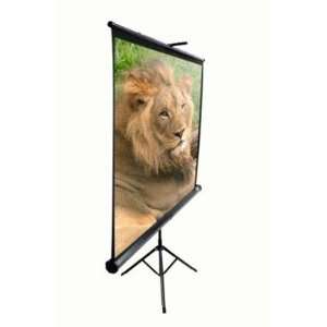   Projection Screen, 43 Aspect Ratio 120in (Max White) Electronics
