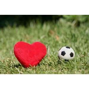  I Love Soccer   Peel and Stick Wall Decal by Wallmonkeys 