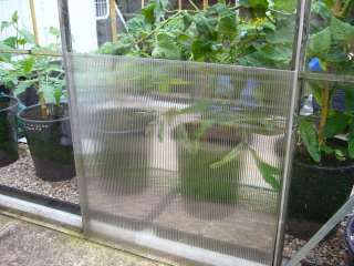 Greenhouse 4mm 2ft x 4ft Polycarbonate Sheets 10 Pack  