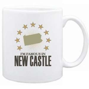   Am Famous In New Castle  Pennsylvania Mug Usa City