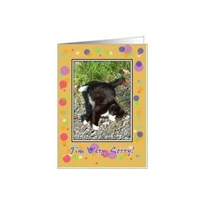  Apology   Cat, Orange Spotty Frame Card Health & Personal 