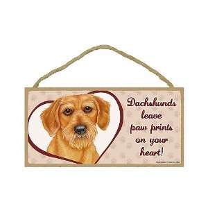 Dachshund (Wire haired)   leave paw prints on your heart Door Sign 5 