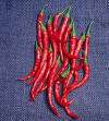 Pepper Hot Cayenne Long Red Thin Seeds  