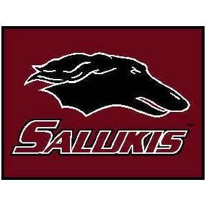  Southern Illinois Salukis ( University Of ) NCAA 18x24 