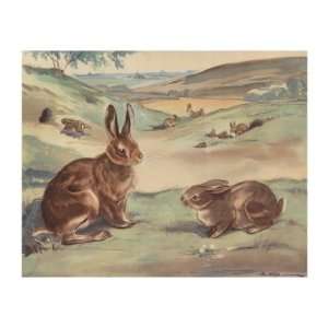   The Hare Premium Poster Print by Eileen Soper, 12x16